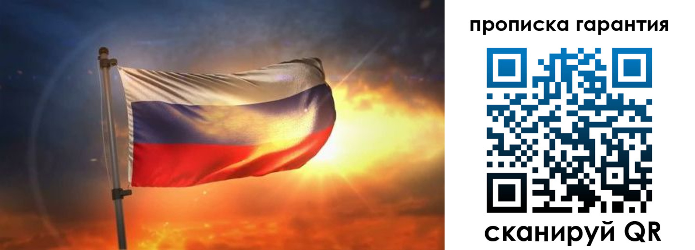 прописка для школы в Ленинградской области